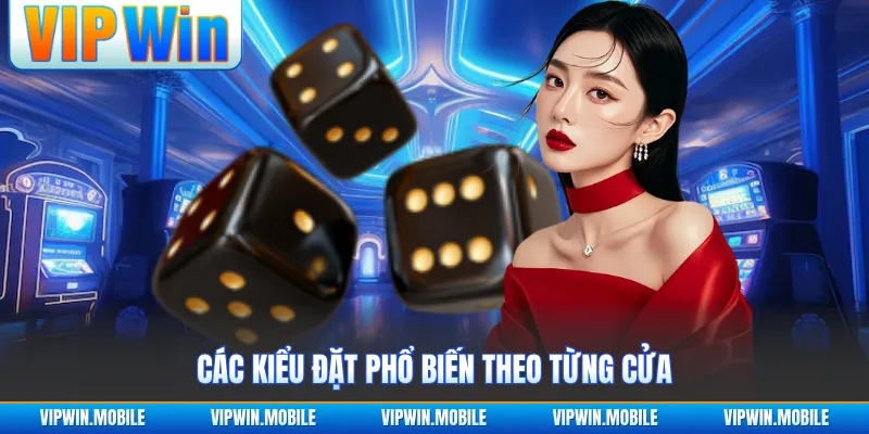 Các kiểu đặt phổ biến theo từng cửa