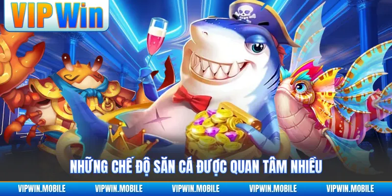 Những chế độ săn cá được quan tâm nhiều